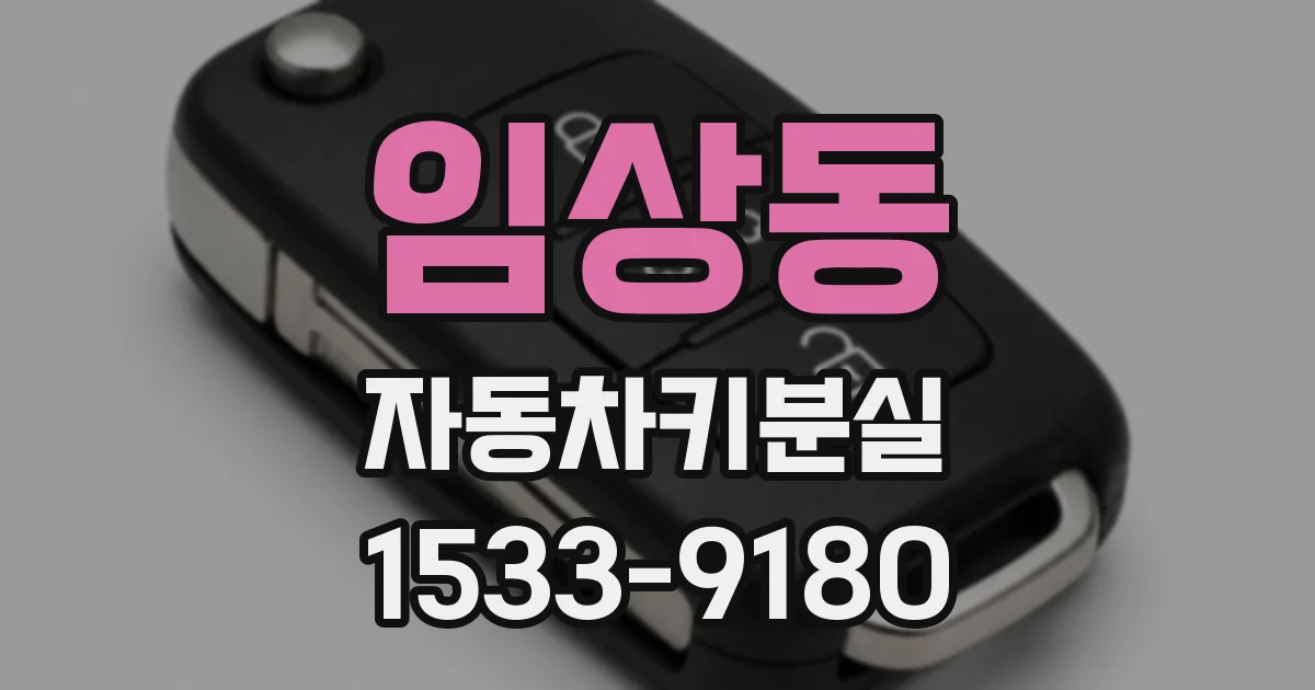 임상동 자동차키분실