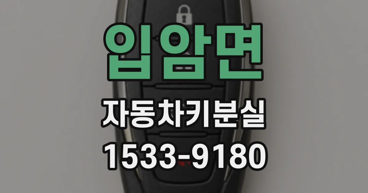 입암면 자동차키분실