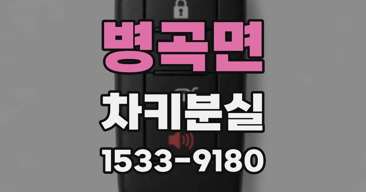 병곡면 차키분실