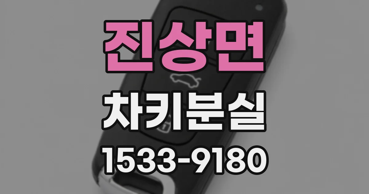 진상면 차키분실