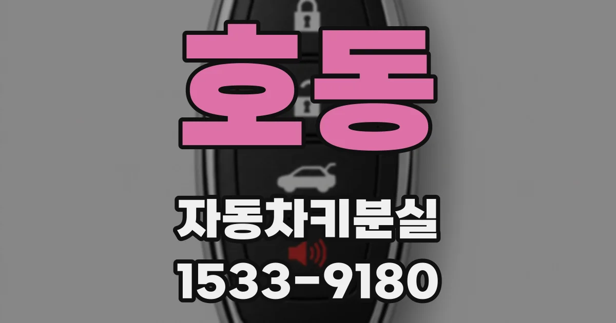 호동 자동차키분실