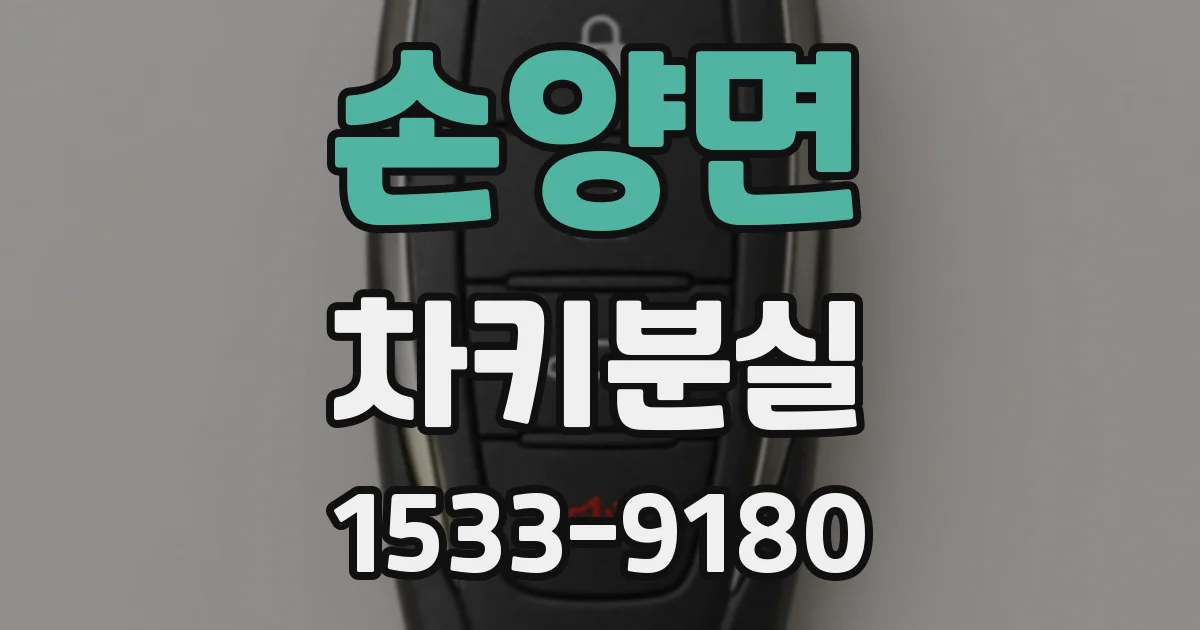 손양면 차키분실
