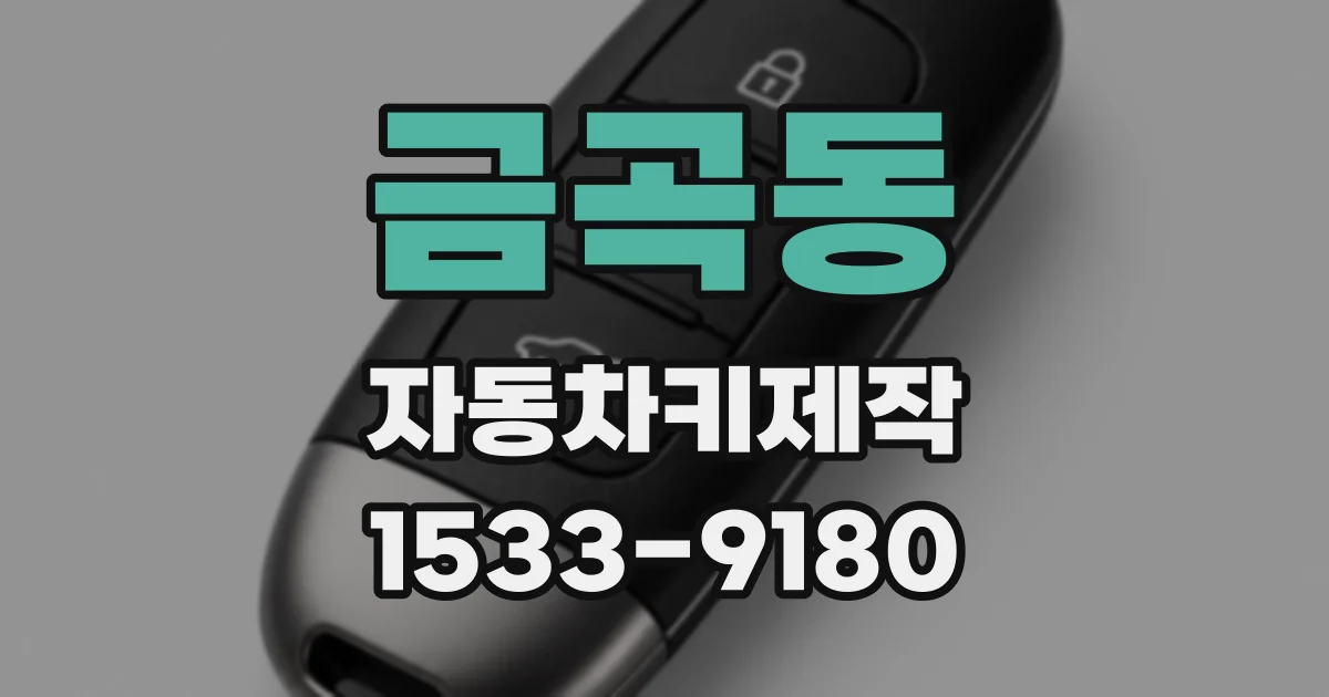 금곡동 자동차키제작