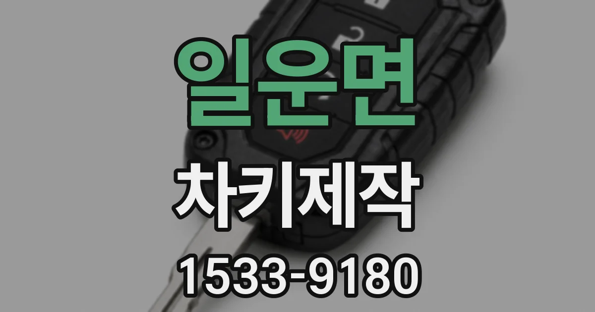 일운면 차키제작