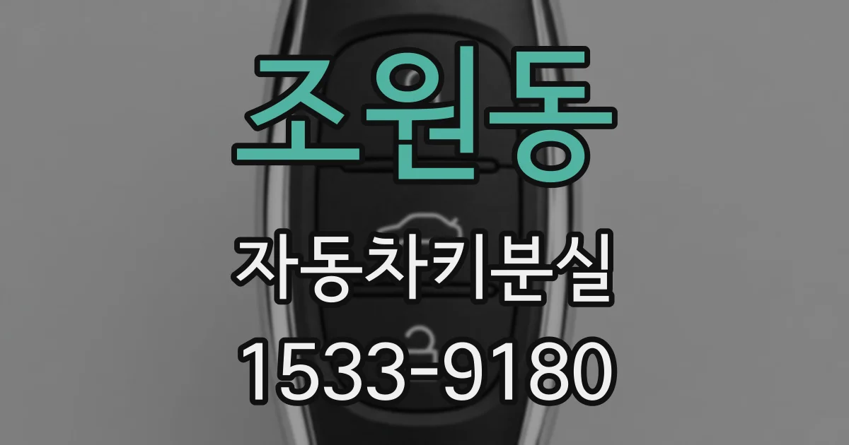 조원동 자동차키분실