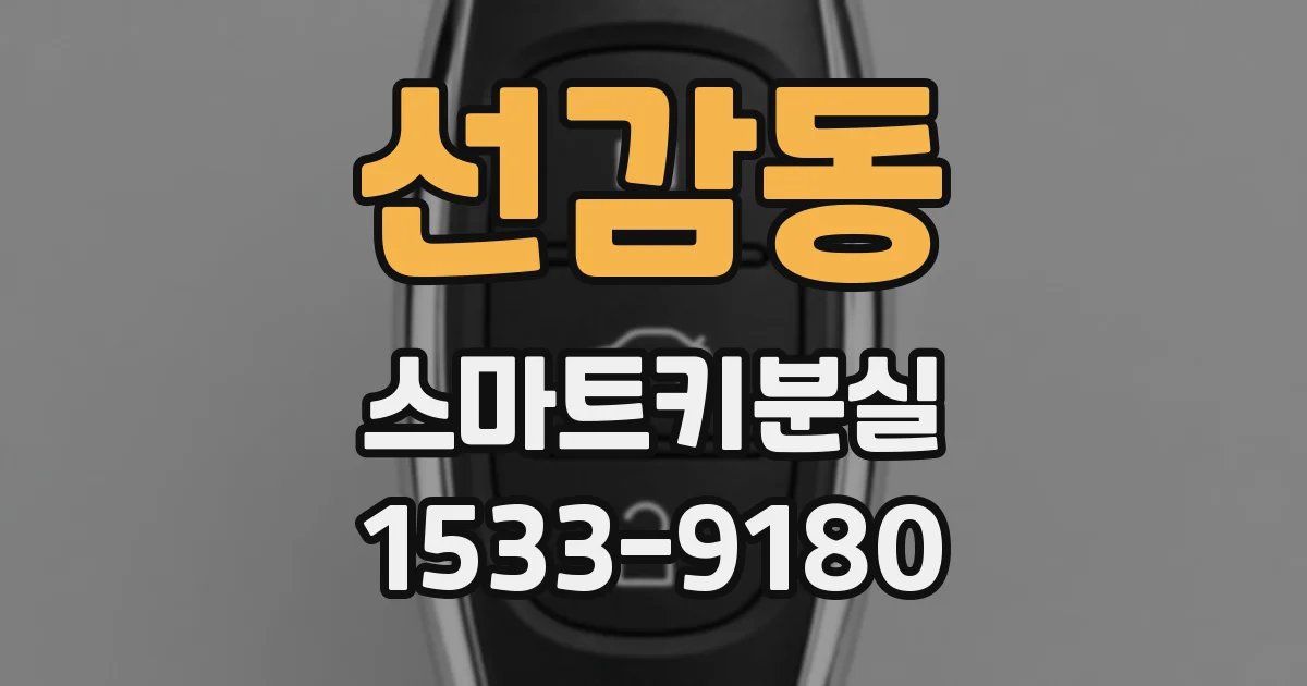 선감동 스마트키분실
