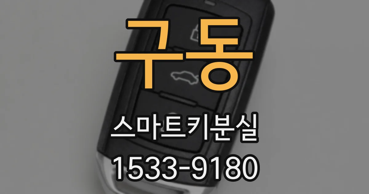 구동 스마트키분실