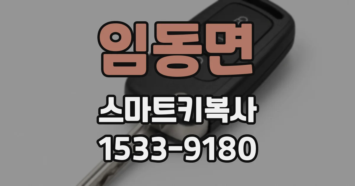 임동면 스마트키복사
