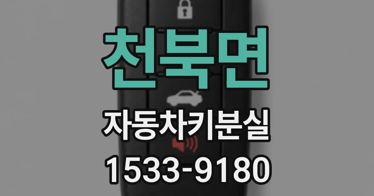 천북면 자동차키분실