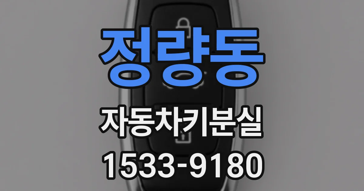 정량동 자동차키분실