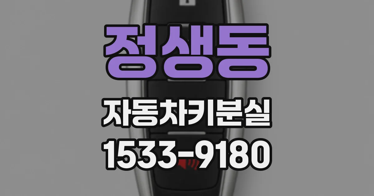 정생동 자동차키분실