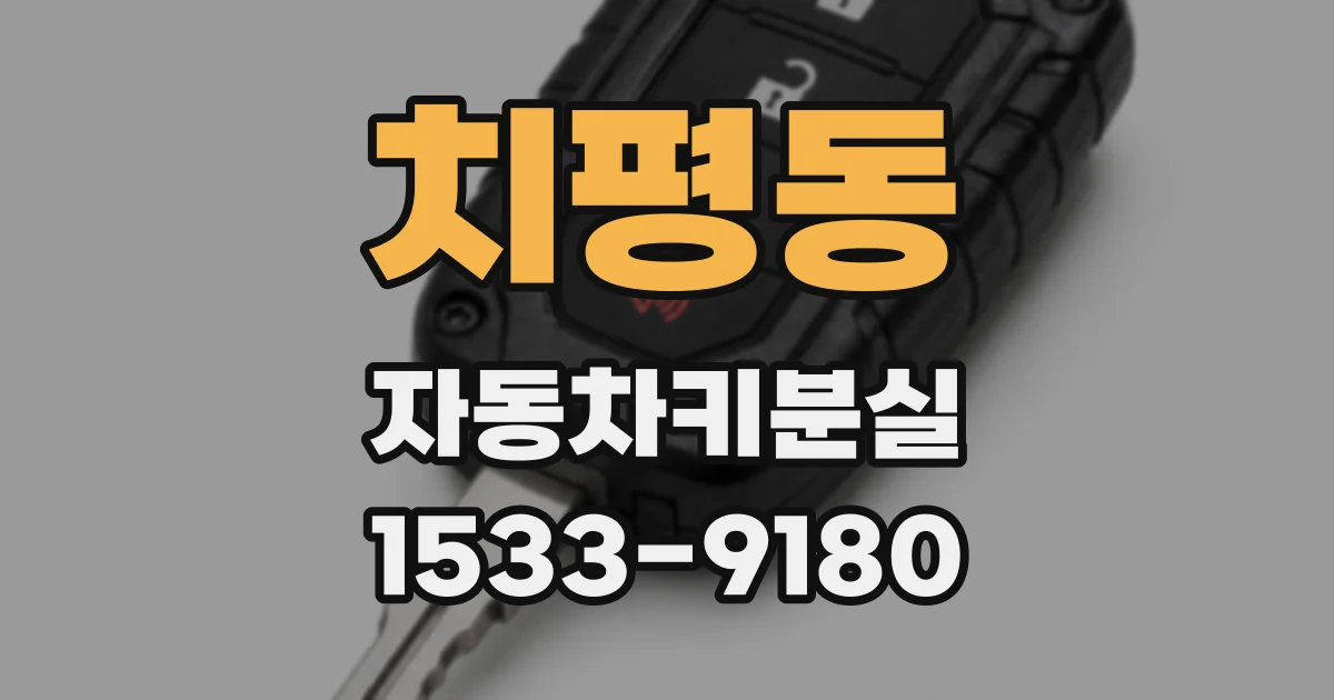 치평동 자동차키분실