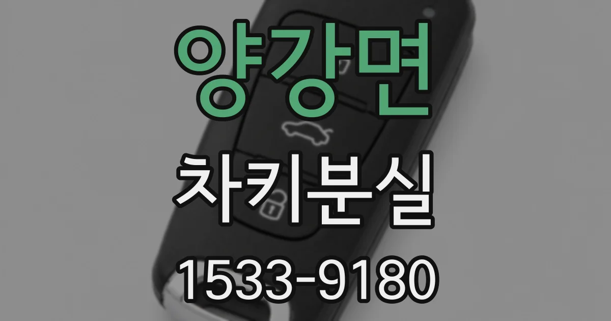 양강면 차키분실