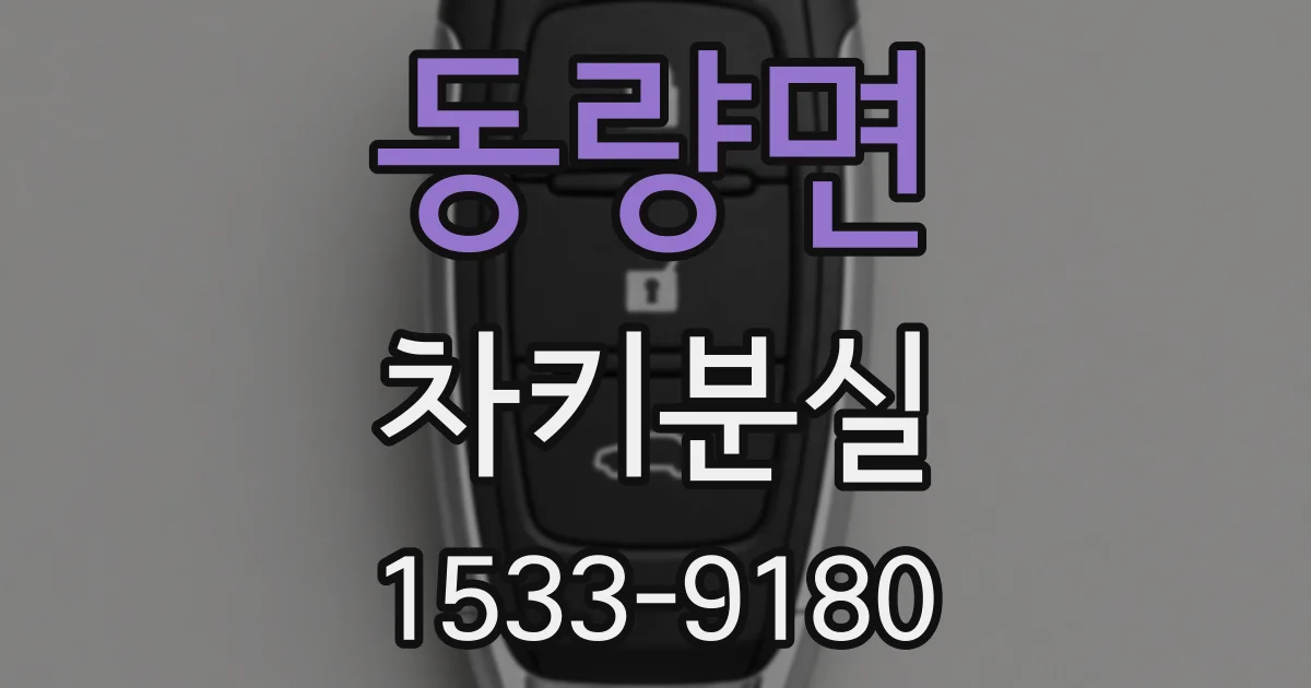 동량면 차키분실
