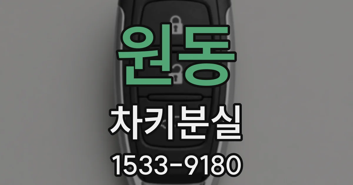 원동 차키분실
