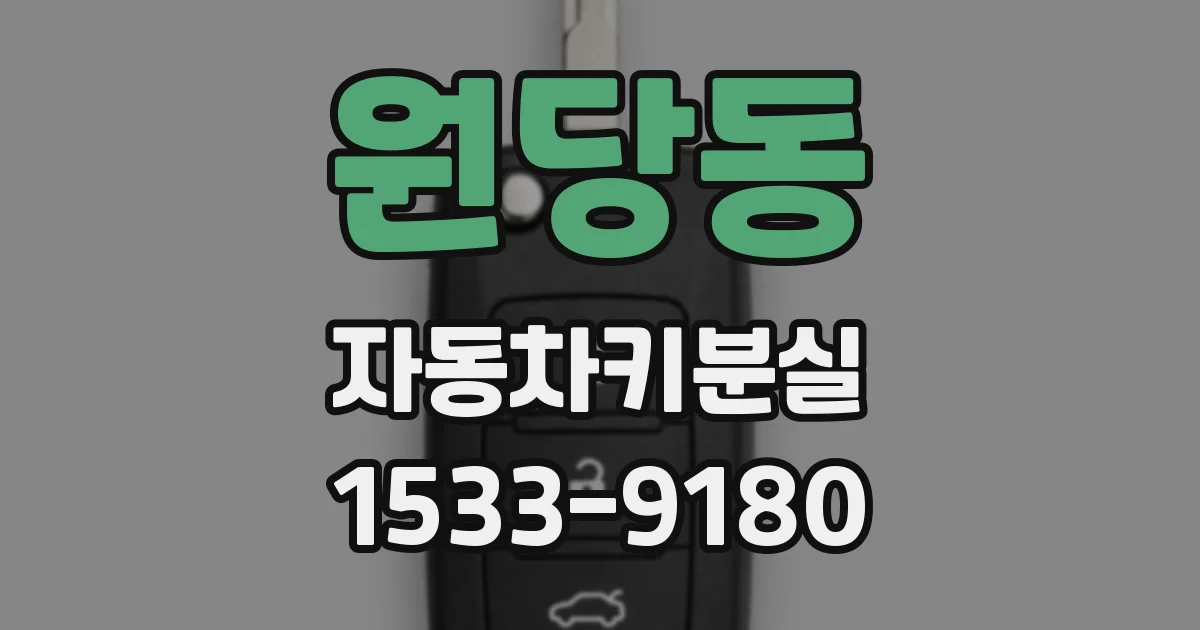 원당동 자동차키분실