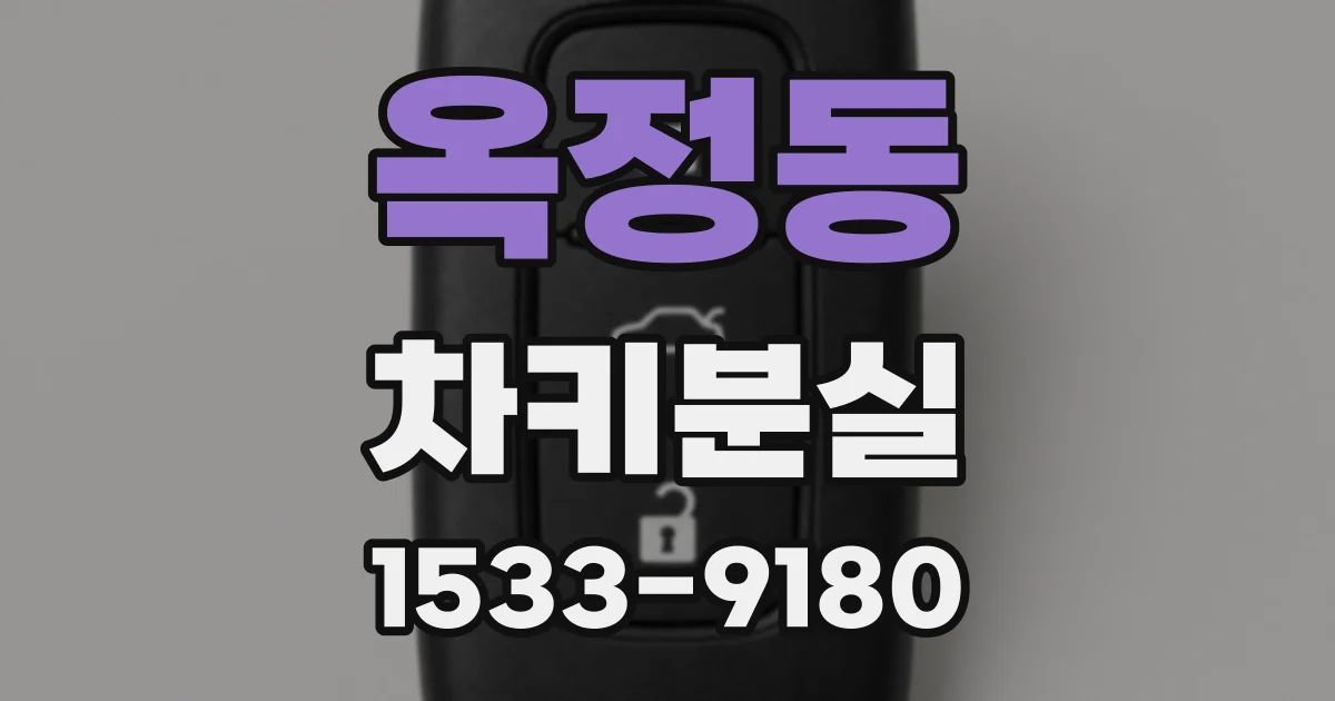 옥정동 차키분실