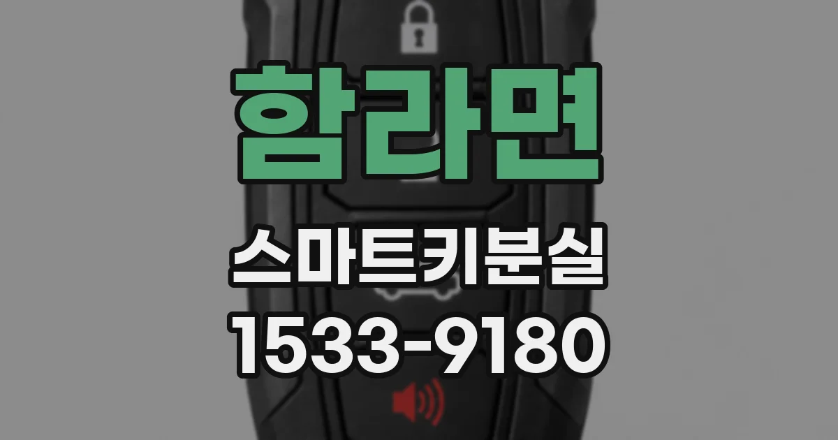 함라면 스마트키분실