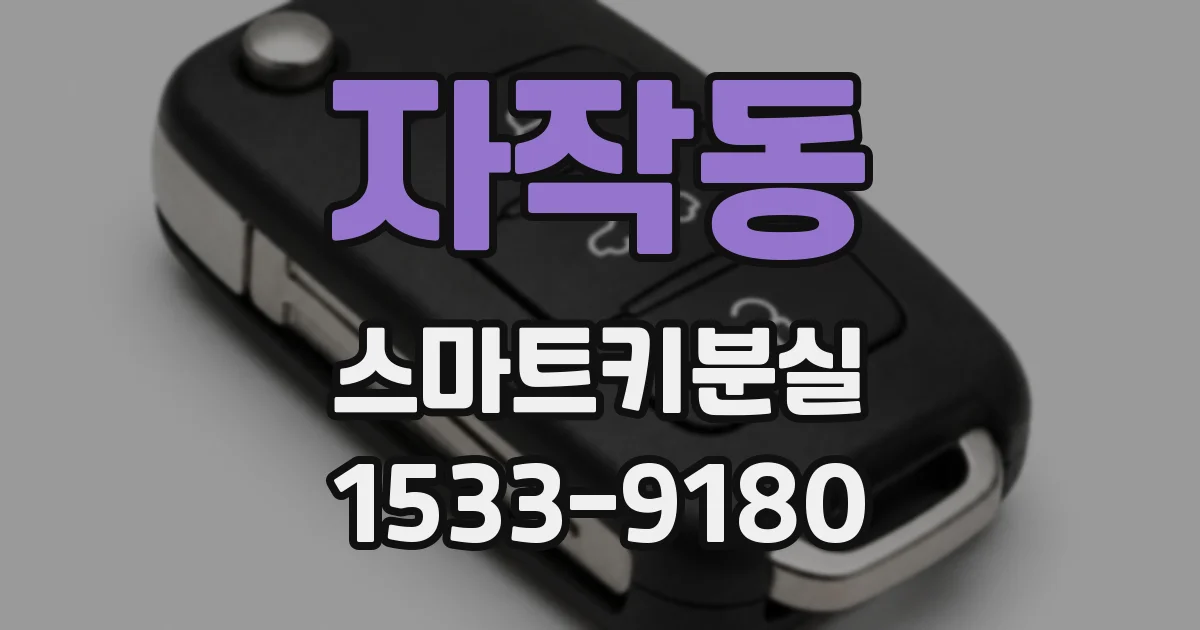 자작동 스마트키분실