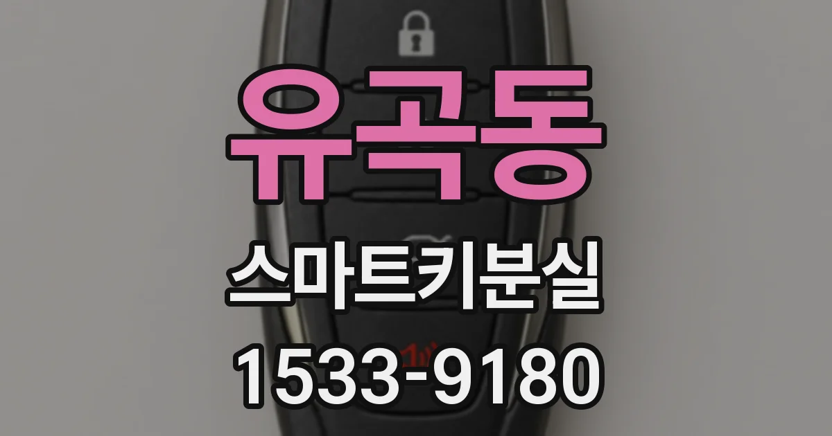 유곡동 스마트키분실