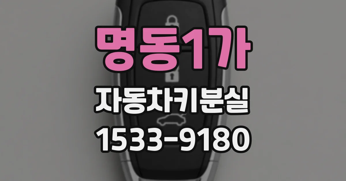 명동1가 자동차키분실