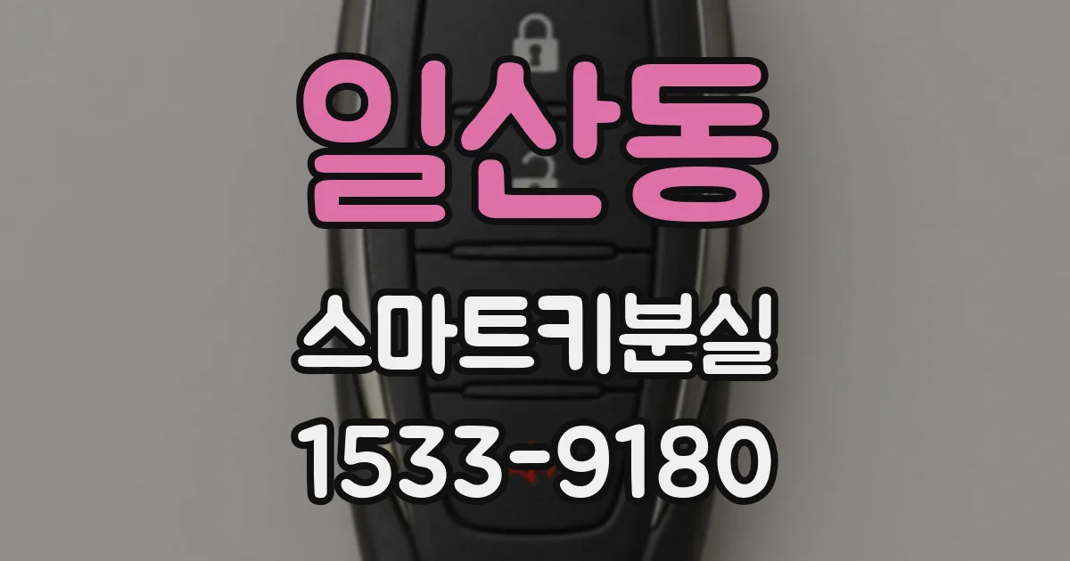 일산동 스마트키분실