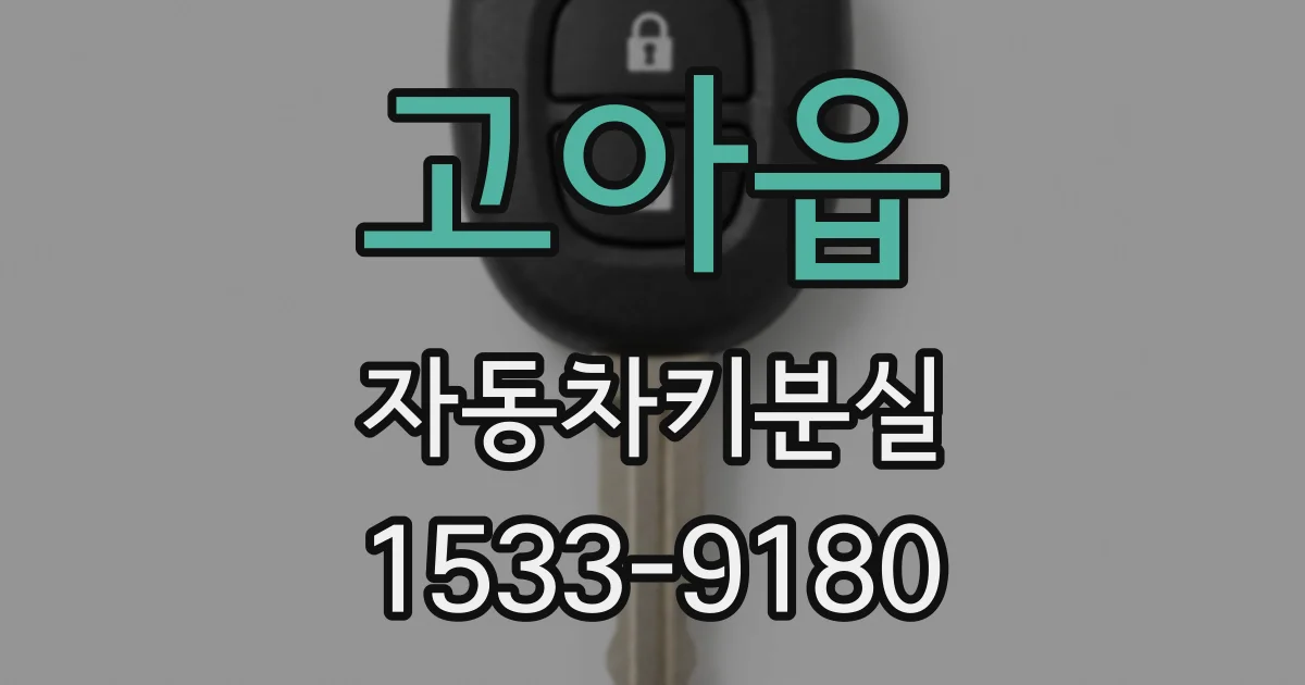 고아읍 자동차키분실