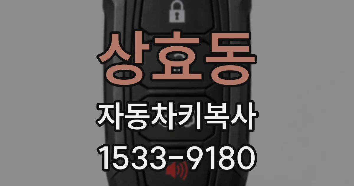 상효동 자동차키복사