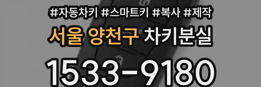 서울 양천구 차키분실