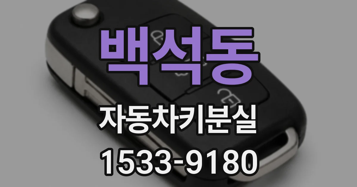 백석동 자동차키분실