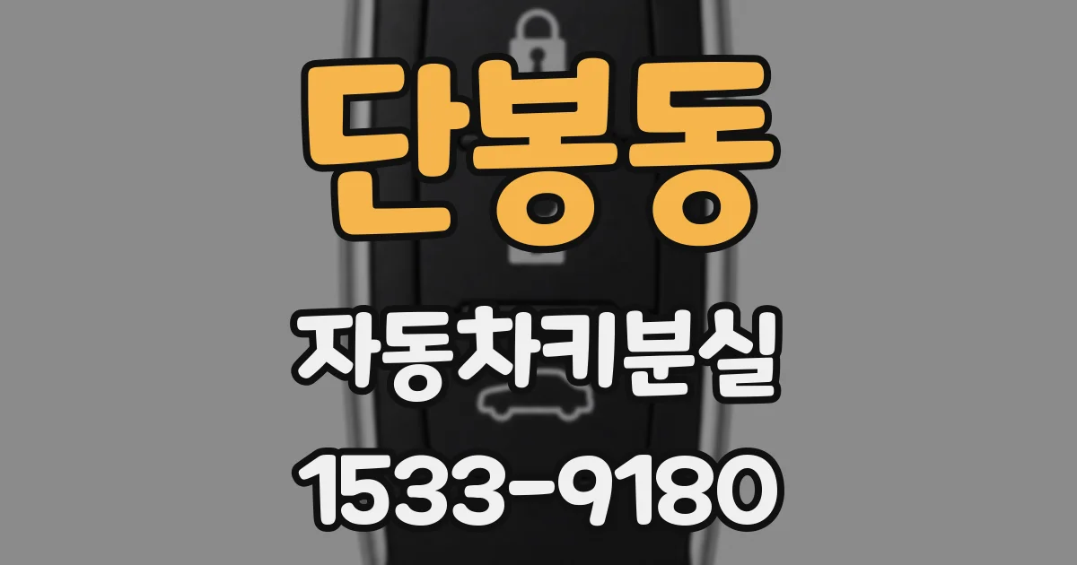 단봉동 자동차키분실