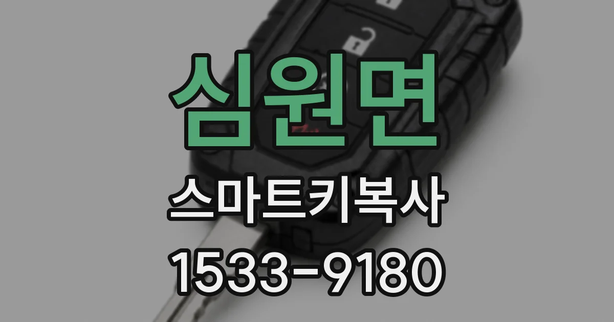 심원면 스마트키복사