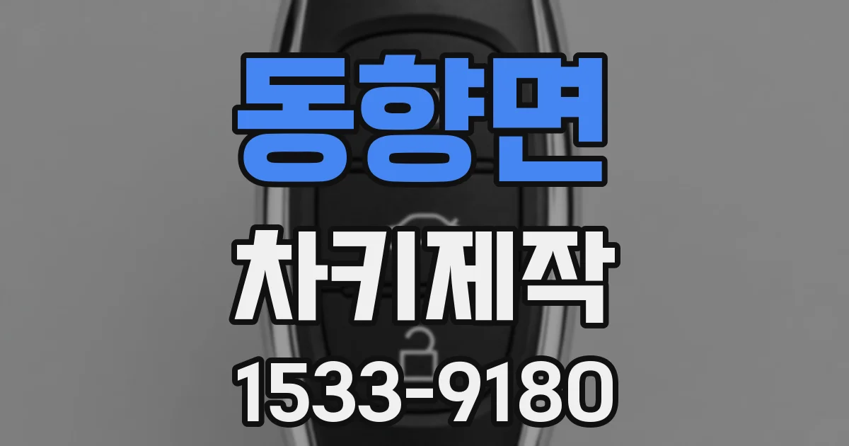 동향면 차키제작