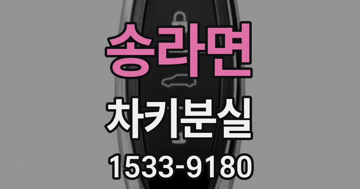 송라면 차키분실