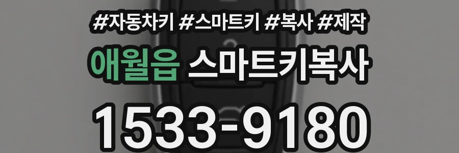 애월읍 스마트키복사