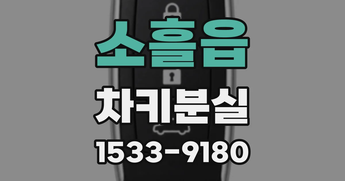 소흘읍 차키분실