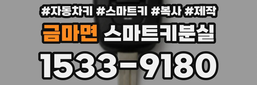 금마면 스마트키분실