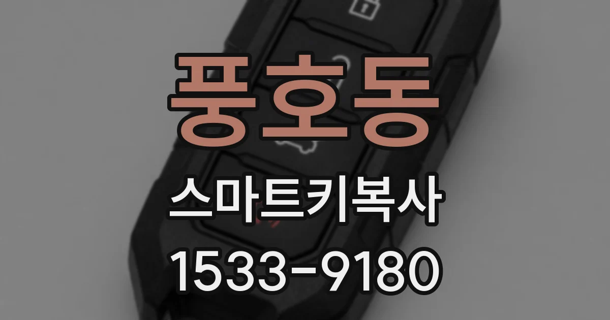 풍호동 스마트키복사