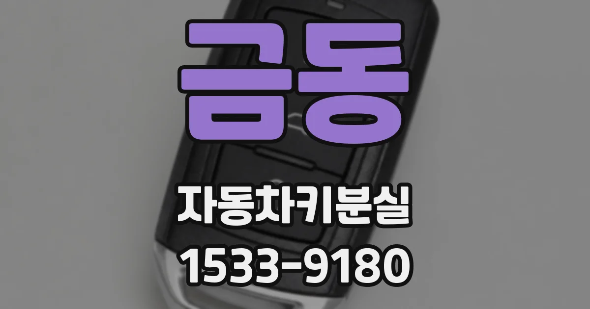금동 자동차키분실