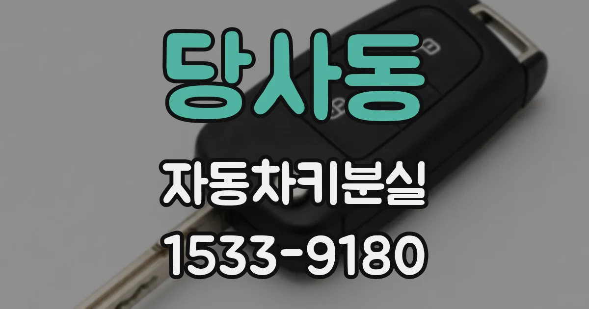 당사동 자동차키분실
