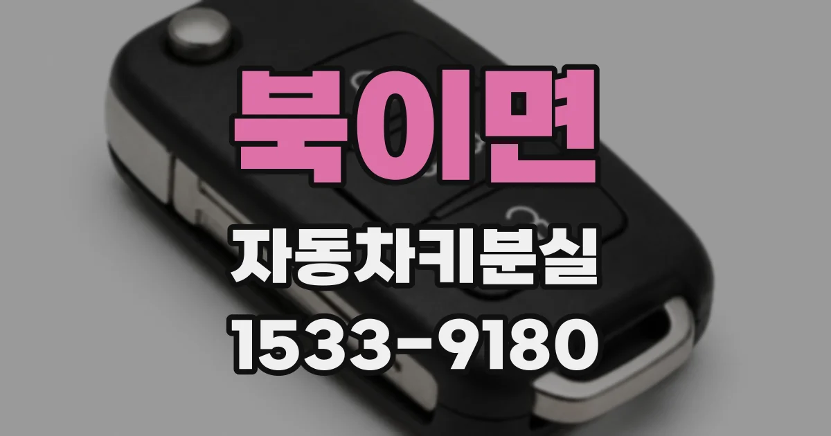 북이면 자동차키분실