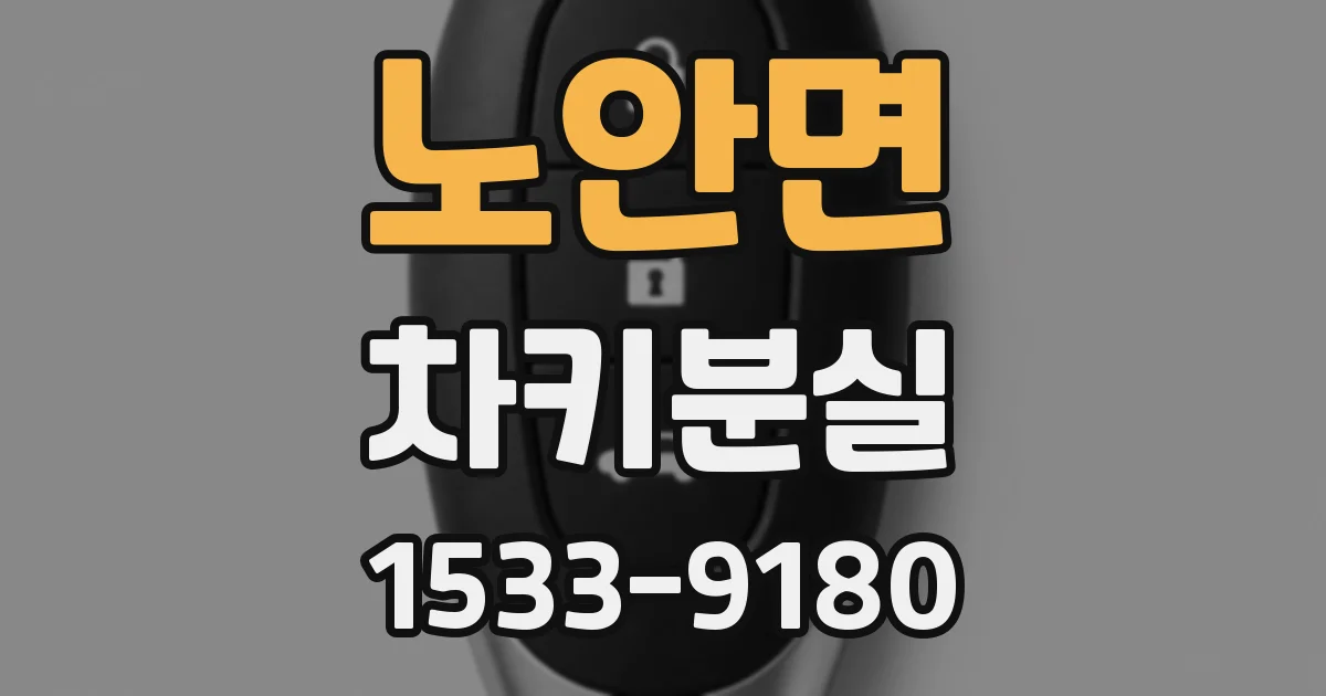 노안면 차키분실