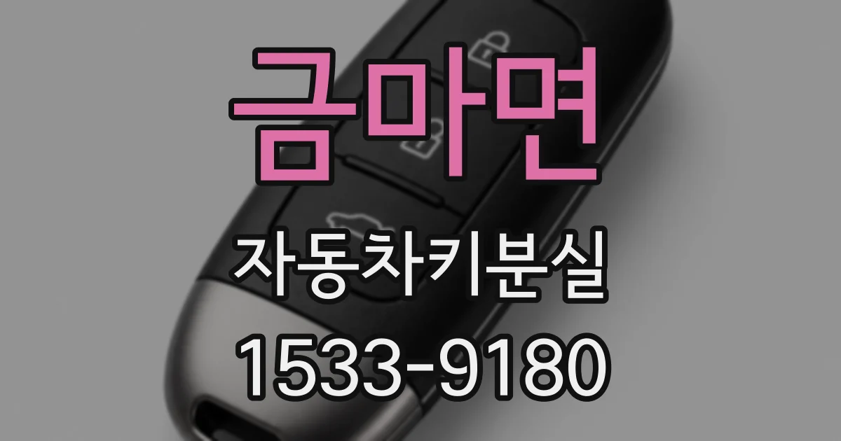 금마면 자동차키분실