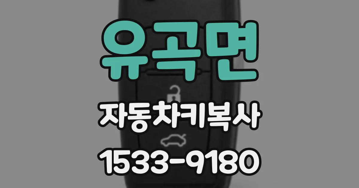 유곡면 자동차키복사