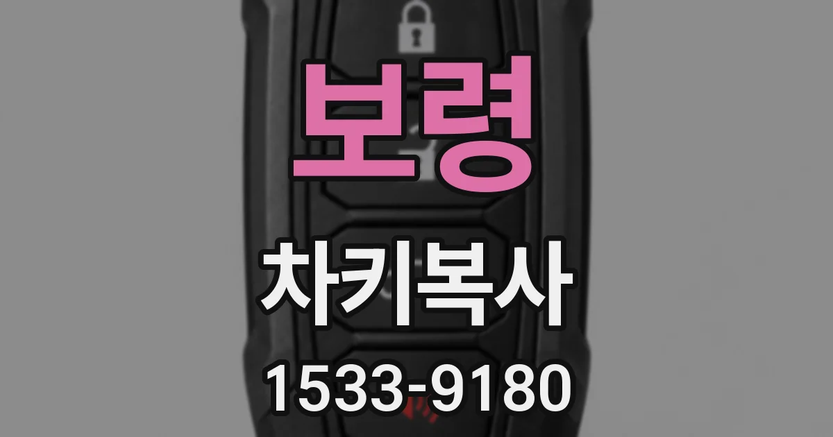 보령 차키복사