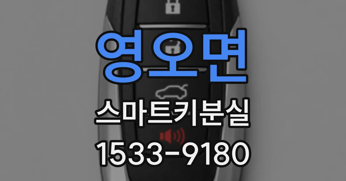 영오면 스마트키분실