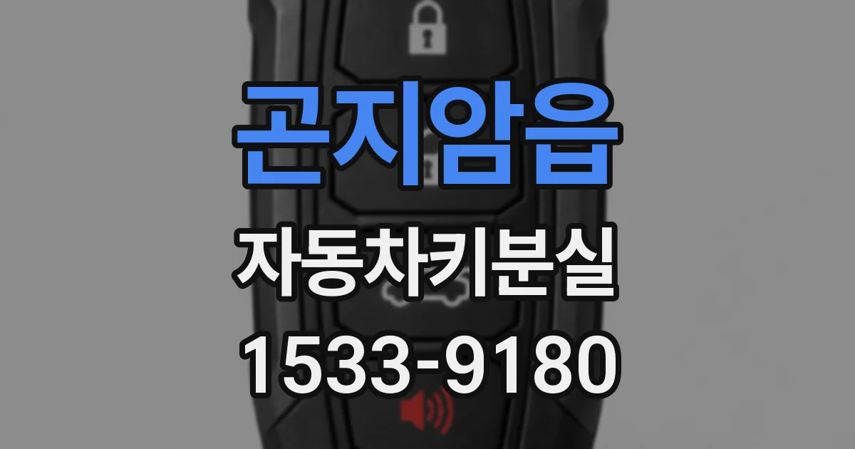 곤지암읍 자동차키분실