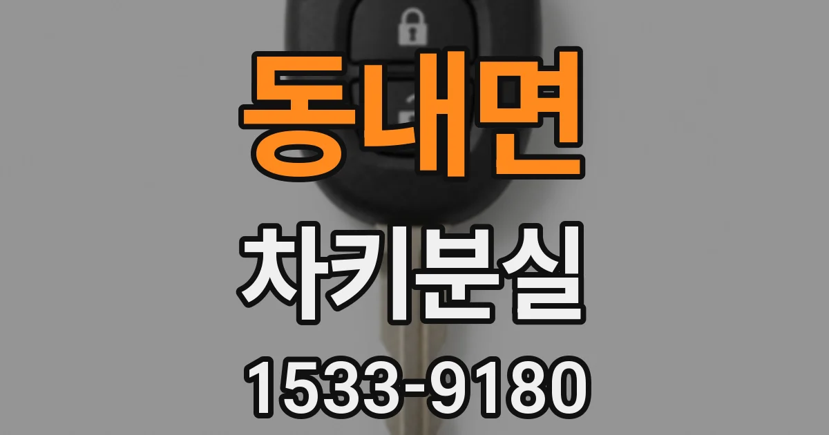 동내면 차키분실