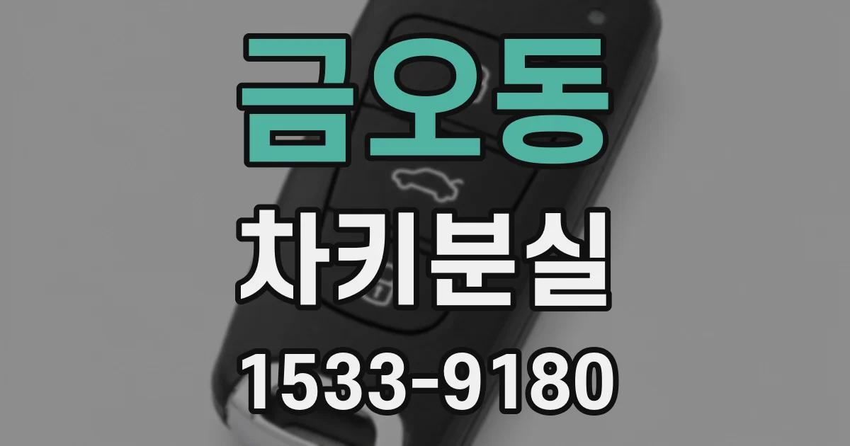 금오동 차키분실
