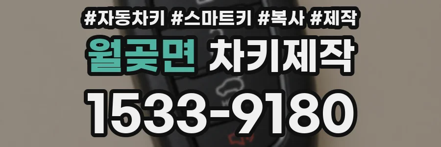 월곶면 차키제작